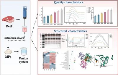 劉軍博士在《Food Chemistry: X》發表前沿成果，助推生命科學研究與試驗發展